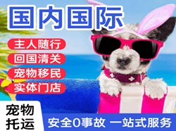 白莲航空托运国际宠物托运 【国